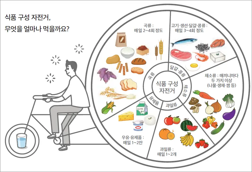 식품 구성 자전거 식품 구성 자전거