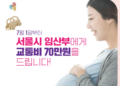 1 서울시 임산부 교통비 지원 70만원